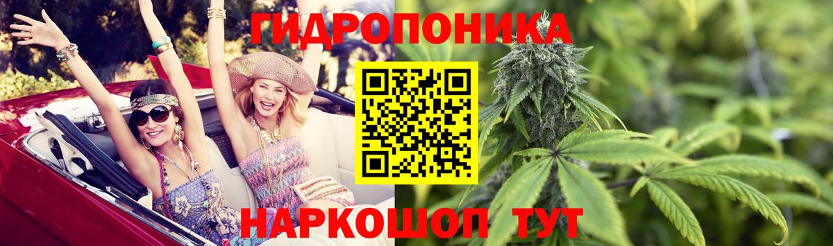 МАРИХУАНА конопля Калуга